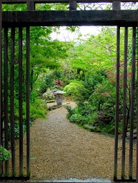 The Japanese Garden and Bonsai Nursery 1129030 Image 7