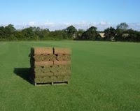 The Leeds Lawn Turf Co 1107121 Image 9