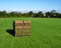 The Stoke Lawn Turf Co 1108573 Image 3