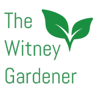 The Witney Gardener 1128035 Image 8