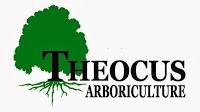 Theocus Arboriculture 1111259 Image 0