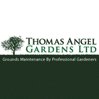 Thomas Angel Gardens Ltd 1111600 Image 4