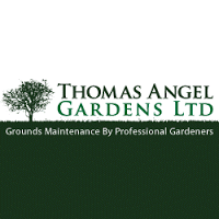 Thomas Angel Gardens Ltd 1111600 Image 7