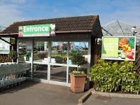 Thompsons Plant and Garden Centre 1122289 Image 0