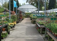 Thompsons Plant and Garden Centre 1122289 Image 2