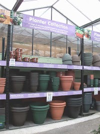 Thompsons Plant and Garden Centre 1122289 Image 3