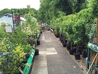 Thompsons Plant and Garden Centre 1126634 Image 0