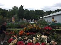 Thompsons Plant and Garden Centre 1126634 Image 2