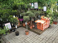Thompsons Plant and Garden Centre 1126634 Image 3