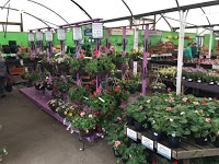 Thompsons Plant and Garden Centre 1126634 Image 7