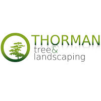 Thorman Tree Surgery and Landscaping 1116368 Image 1