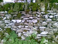 Throughstone Walling 1106012 Image 2