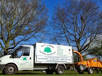 Titichfield Tree Services 1127749 Image 1
