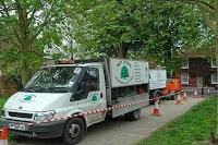 Titichfield Tree Services 1127749 Image 2