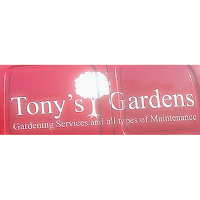 Tonys Gardens 1121327 Image 4