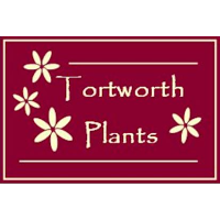 Tortworth Plants Ltd. 1106312 Image 5