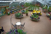 Torwood Garden Centre Ltd 1121790 Image 1