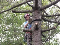 Tranquilitree Professional Tree Care 1109517 Image 0