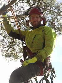 Tranquilitree Professional Tree Care 1109517 Image 1