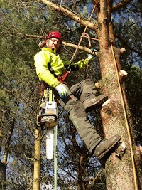 Tranquilitree Professional Tree Care 1109517 Image 2