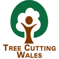 Tree Cutting Wales 1121561 Image 1