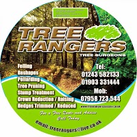 Tree Rangers 1111413 Image 0