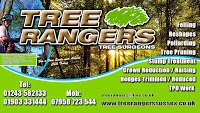 Tree Rangers 1111413 Image 1