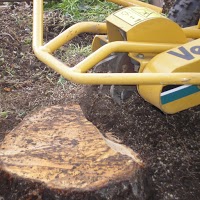 Tree Stump Removal Liverpool 1129950 Image 0