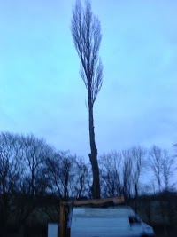 Tree Surgeon in Leeds 1111287 Image 1