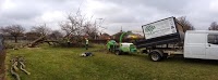 Tree and Garden Services 1125127 Image 1