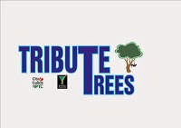 Tribute Trees 1121849 Image 1