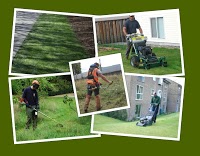 Trim and Strim....Grass Cutting and Garden Services 1112248 Image 0