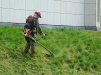 Trim and Strim....Grass Cutting and Garden Services 1112248 Image 1