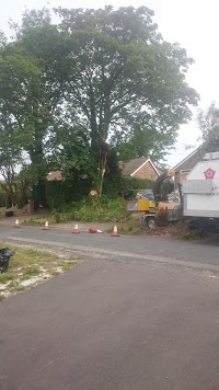Tudor Rose Tree Care in South Darenth, Kent DA4 9AR