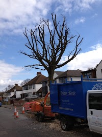 Tudor Rose Tree Care in South Darenth, Kent DA4 9AR