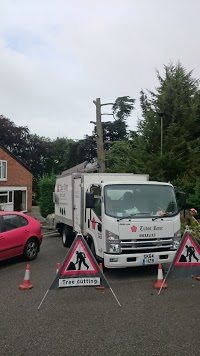 Tudor Rose Tree Care in South Darenth, Kent DA4 9AR