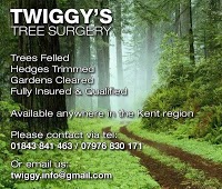 Twiggys Tree Surgery 1106712 Image 0