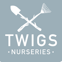 Twigs Nurseries and Coffee Shop 1105354 Image 2