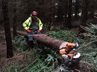 Tyneside Tree Surgeons 1128106 Image 2