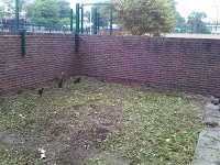 UK Build Garden Clearance, Landscaping House Clearance Restoration and Build. 1109604 Image 6