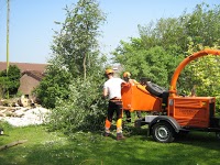 Valleyside Tree Services 1124775 Image 4