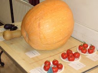 Warlingham and District Horticultural Society 1117813 Image 1