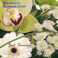 Watsons Flowerstop 1107194 Image 6