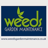 Weeds Garden Maintenance 1105197 Image 0
