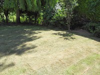 Willow Tree Gardening and Landscaping 1130324 Image 3