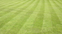Wilts and Glos Turf Supplies 1105933 Image 2