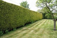 Wiltshire and Bath Landscaping 1127145 Image 1