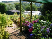 Withleigh Nurseries 1117399 Image 1
