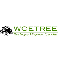 Woetree Tree Surgery and Vegetation Services 1111840 Image 6