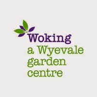 Woking, a Wyevale Garden Centre 1116021 Image 1
